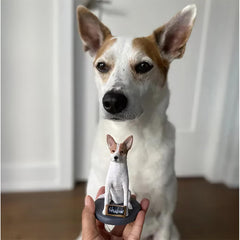 Fully Customizable 1 Animal/Pet Custom Bobbleheads