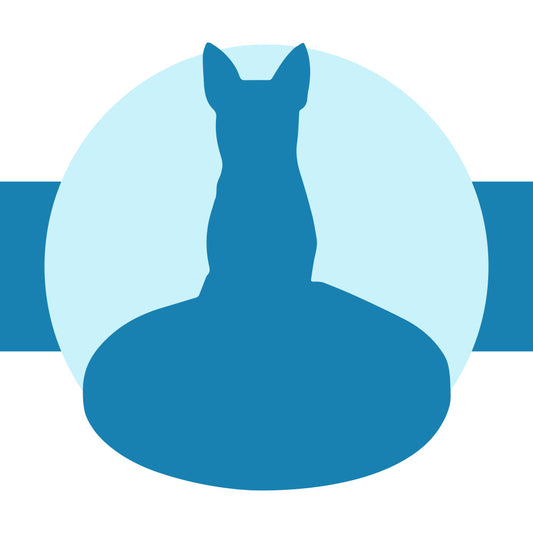 Fully Customizable 1 Animal/Pet Custom Bobbleheads