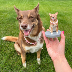Fully Customizable 1 Animal/Pet Custom Bobbleheads
